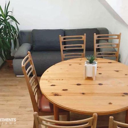 Huge Bbq Garden 2, Spacious Flat, Ac, Free Parking 2 Ljubljana Dış mekan fotoğraf