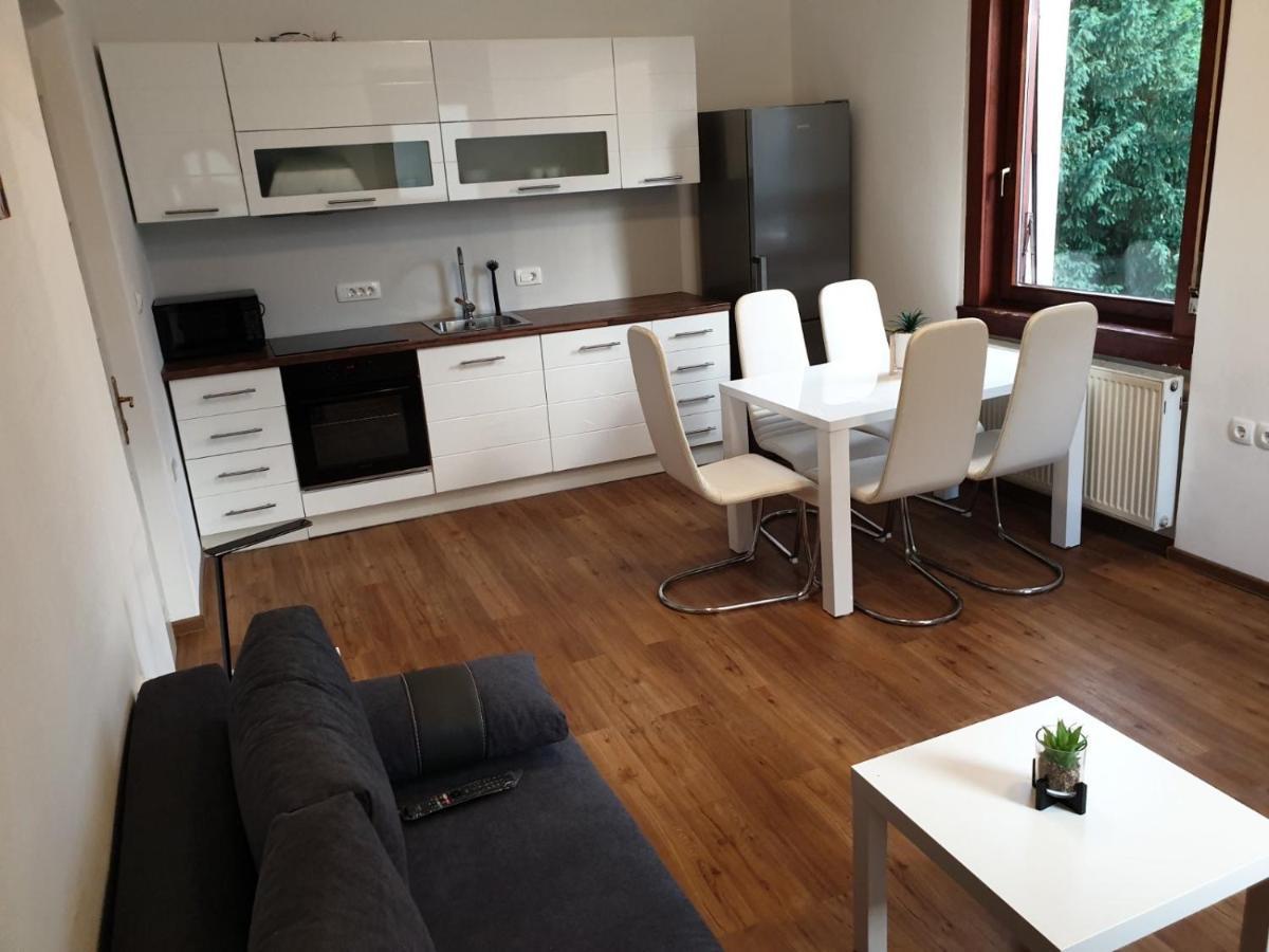 Huge Bbq Garden 2, Spacious Flat, Ac, Free Parking 2 Ljubljana Dış mekan fotoğraf