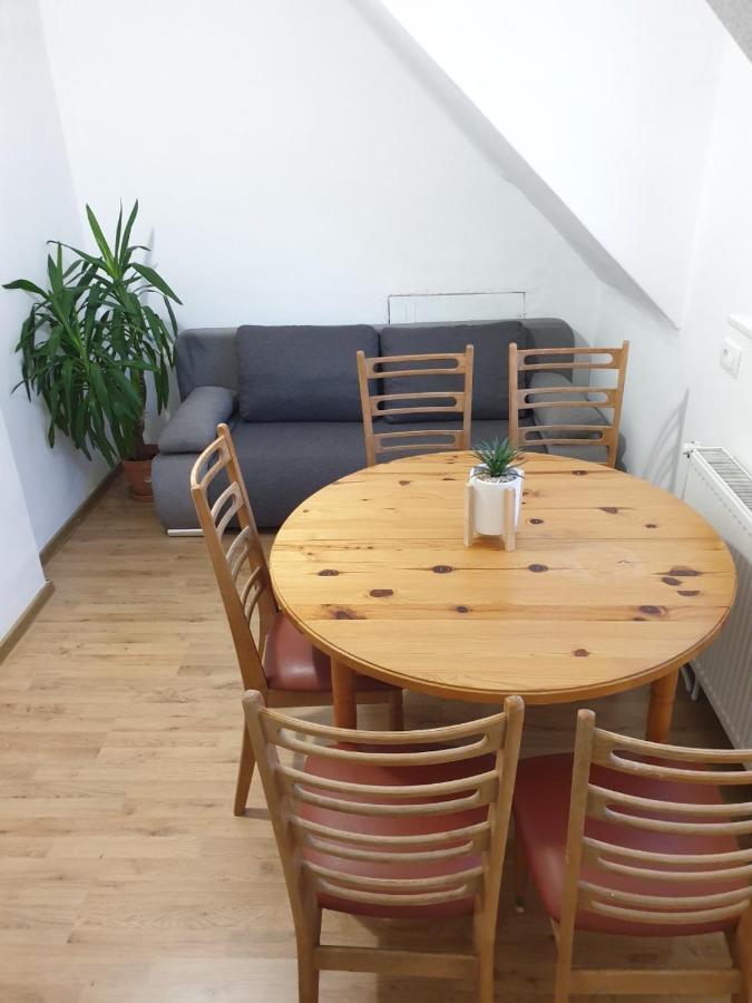Huge Bbq Garden 2, Spacious Flat, Ac, Free Parking 2 Ljubljana Dış mekan fotoğraf